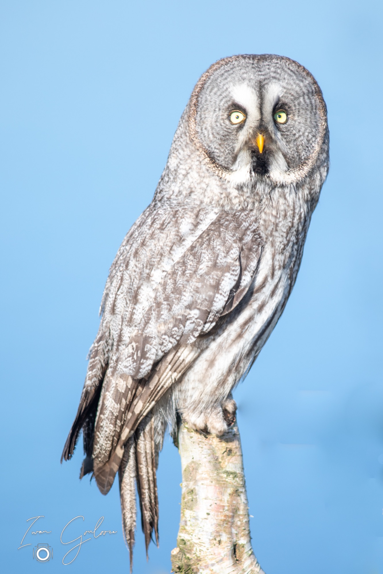 04 maart 2022 153153  5D44174